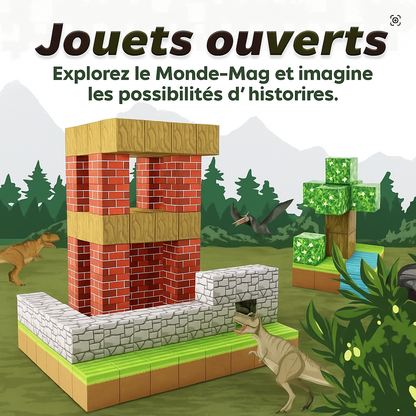 Jeux de bloc magnétique Montesorri